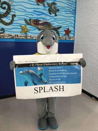 floyd dolphin holding splash sign 